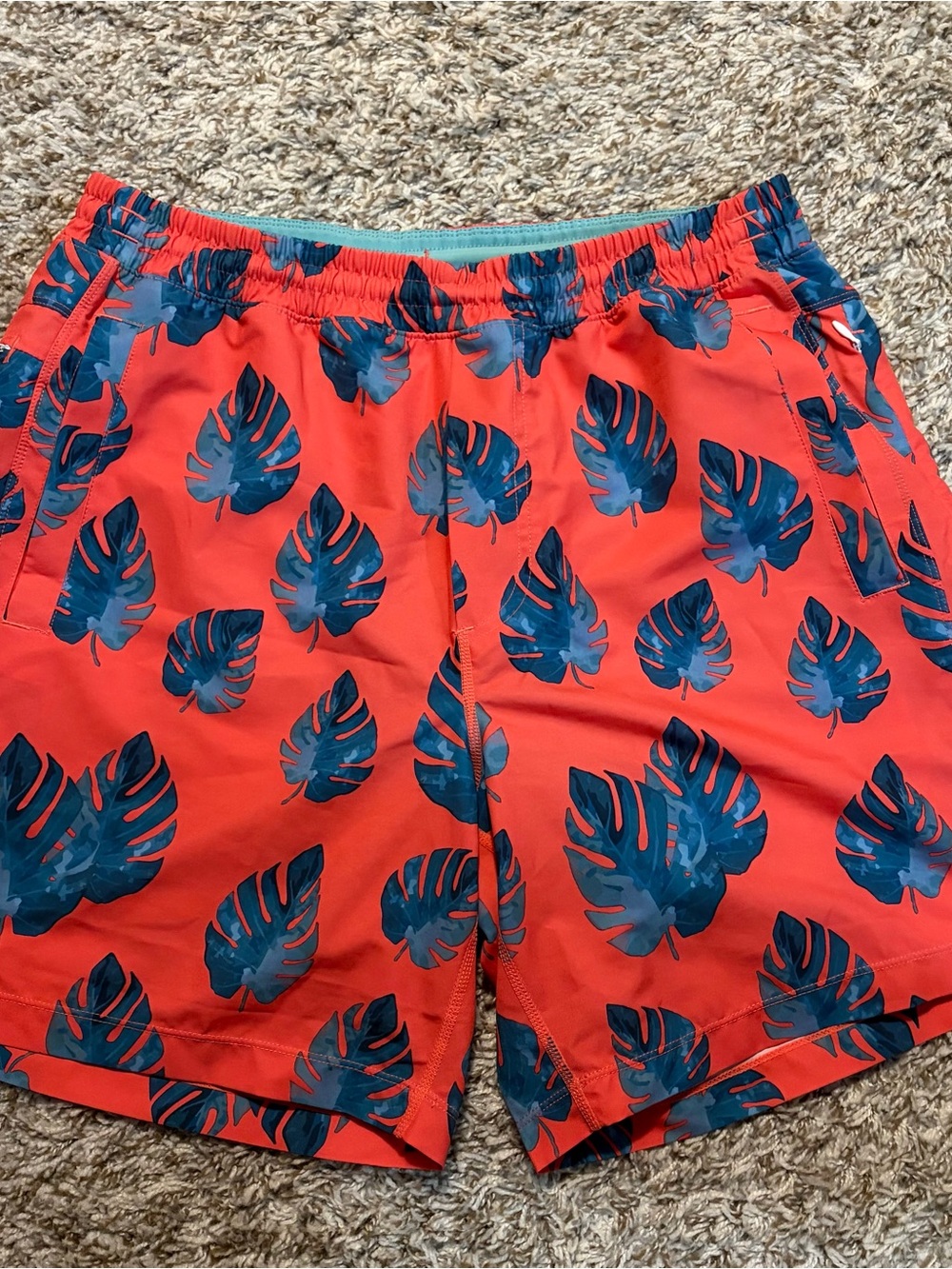 Bird dog Men's Coral Swim Shorts with Blue Leaf Print